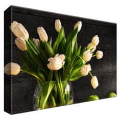 ZUTY Obrazy na stěnu - Krémové tulipány, 30x20 cm