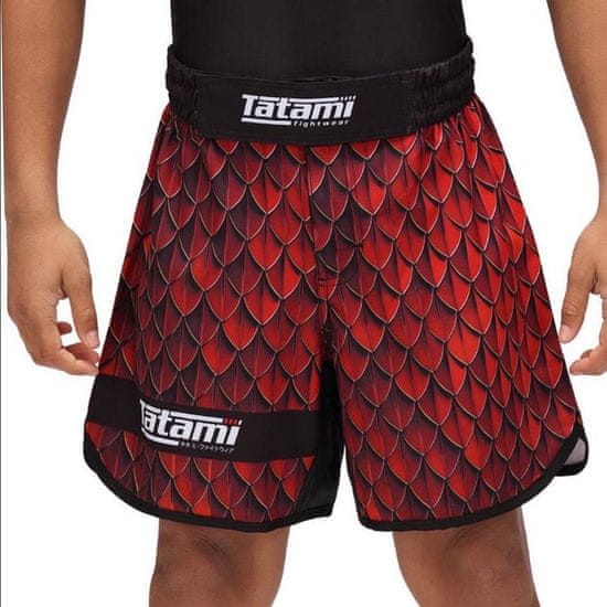 Tatami Fightwear Dětské šortky TATAMI Recharge Grappling - dragon