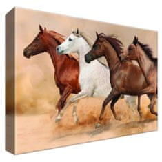 ZUTY Obrazy na stěnu - Koně ve cvalu, 30x20 cm