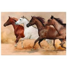ZUTY Obrazy na stěnu - Koně ve cvalu, 30x20 cm