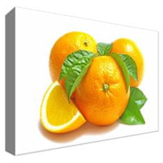 ZUTY Obrazy na stěnu - Oranžová kompozice, 30x20 cm