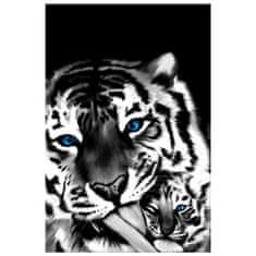 ZUTY Obrazy na stěnu - Tygři, 20x30 cm