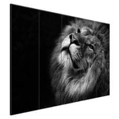 ZUTY Obrazy na stěnu - Stříbrný lev, 225x160 cm
