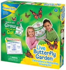 Insect Lore Motýlí zahrádka (3-5 housenek) - Butterfly Garden