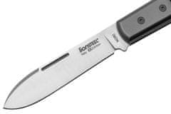 LionSteel CK0111 CVG Spear M390 blade, zelená Canvas Handle, Ti Bolster & Liners