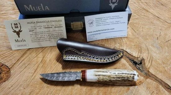 Muela BW-6DAM 75mm Stainless ocel Damascus blade, stag handle