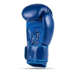 DBX BUSHIDO boxerské rukavice ARB-407-Blue 10 oz