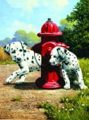 SMT Creatoys Malování podle čísel Dalmatini u červeného hydrantu 22x30cm s akrylovými barvami a štětcem na kartě