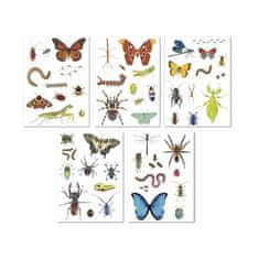 Apli Samolepka "Stickers", hmyz, odstranitelné, 50 ks, 19429