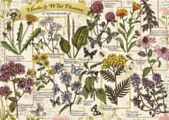 Trefl Puzzle Herbarium: Léčivé byliny 500 dílků