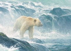 Cobble Hill Puzzle Lední medvěd na lovu lososů - XXL PUZZLE