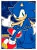 Sega Dětská fleecová deka Ježek Sonic