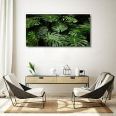 COLORAY.CZ Obraz na plátně Rostlinné listy 120x60 cm