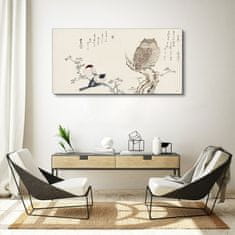 COLORAY.CZ Obraz na plátně Větev zvířata ptáků sova 120x60 cm