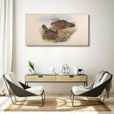 COLORAY.CZ Obraz na plátně Ptáci béžová zvířata 120x60 cm