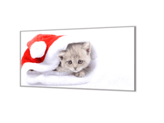 Glasdekor Ochranná deska čepice Santy a malé kotě - Ochranná deska: 50x70cm, Lepení na zeď: S lepením na zeď