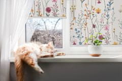 COLORAY.CZ Roleta do okna Barevné květiny Rolet propuštění světla 80x240 cm