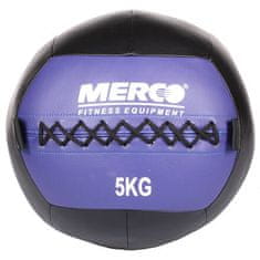 Wall Ball posilovací míč hmotnost 8 kg