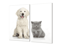 Glasdekor Ochranná deska bílé štěně a šedé kotě - Ochranná deska: 60x70cm, Lepení na zeď: S lepením na zeď