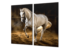 Glasdekor Ochranná deska bílý kůň ve stáji - Ochranná deska: 60x70cm, Lepení na zeď: Bez lepení na zeď