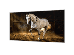 Glasdekor Ochranná deska bílý kůň ve stáji - Ochranná deska: 60x70cm, Lepení na zeď: Bez lepení na zeď