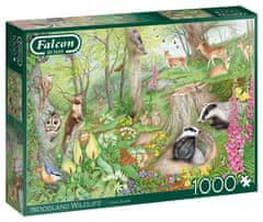 Falcon Puzzle Život v lese 1000 dílků