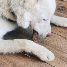 The Explorer Dog EXPLORER DOG Žvýkací jelení paroh XL měkký
