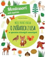 Chiara Piroddiová: Moje první kniha o zvířatech z lesa - se spoustou úžasných samolepek