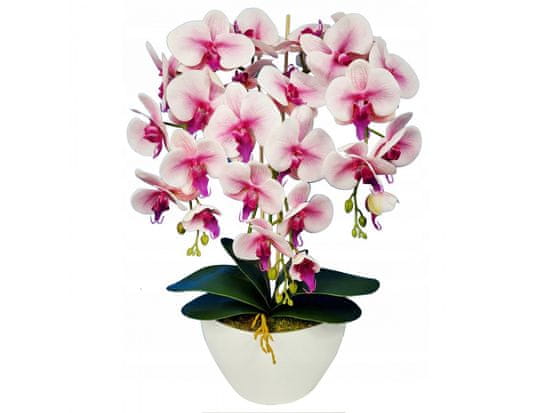 sarcia.eu Umělá orchidej orchidej v květináči, bílá a růžová orchidej 53 cm