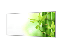 Glasdekor Ochranná deska bambus listy - Ochranná deska: 50x70cm, Lepení na zeď: S lepením na zeď