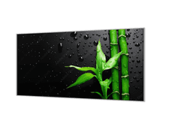 Glasdekor Ochranná deska bambus kapky vody na černém - Ochranná deska: 70x70cm, Lepení na zeď: S lepením na zeď