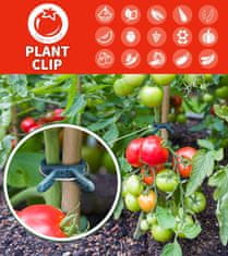 Netscroll Sponky na upevnění rostlin, užitečné a odolné svorky pro vzpřímený růst, venku nebo uvnitř, podpora pro rajčata, okurky, orchideje, růže, dvě velikosti, (20 kusů), ClampsGarden