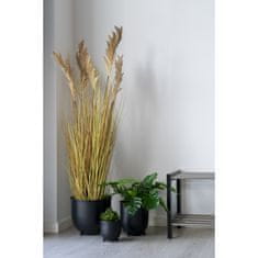 House Nordic Umělá rostlina, přírodní\nH:110 cm