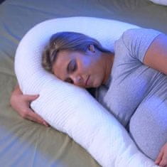 Mediashop Dreamolino Swan Pillow
