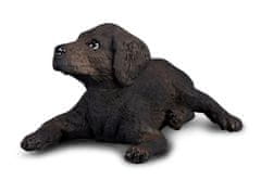 COLLECTA Labradorský retrívr štěně - model zvířátka