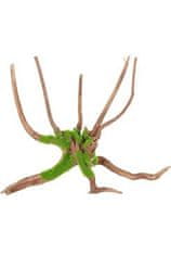 Zolux Akvarijní dekorace Kipouss Pavoučí kořen M