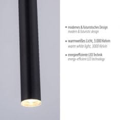 PAUL NEUHAUS PAUL NEUHAUS LED závěsné svítidlo černá 1 ramenné stmívatelné teplá bílá subtilní design 3000K PN 2111-18