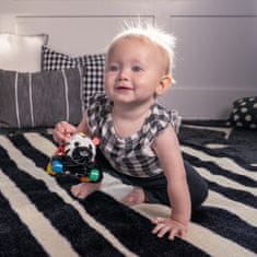 Baby Einstein OBALL Autíčko a chrastítko 2v1 Curious Car zebra Zen 3m+