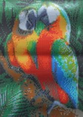 Norimpex Diamantové malování Barevní papoušci 30x40cm