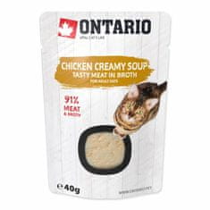 Ontario Polévka kuře se sýrem 40g