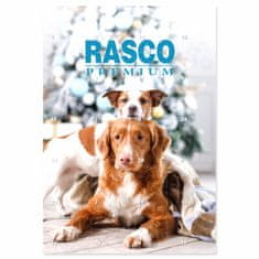 RASCO Kalendář Premium adventní