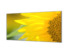 Glasdekor Krájecí podložka detail květ slunečnice - Ochranná deska: 55x90cm, Lepení na zeď: S lepením na zeď