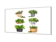Glasdekor Ochranná deska bylinky v květináčích - Ochranná deska: 65x90cm, Lepení na zeď: S lepením na zeď