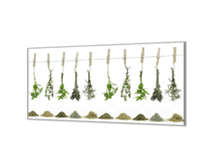 Glasdekor Ochranná deska bylinky visící na šňůře - Ochranná deska: 65x90cm, Lepení na zeď: Bez lepení na zeď