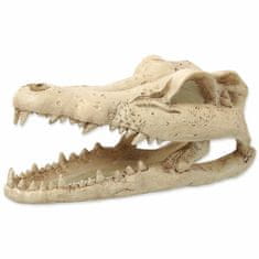 REPTI PLANET Dekorace Krokodýl lebka 13,8x6,8x6,5cm