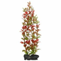 Tetra Dekorace Rostlina Red Ludwigia L 30cm