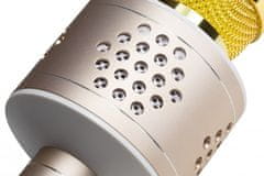 Technaxx Přenosný reproduktor MusicMan PRO BT-X35 s karaoke mikrofonem, zlatý/ stříbrný