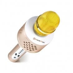 Technaxx Přenosný reproduktor MusicMan PRO BT-X35 s karaoke mikrofonem, zlatý/ stříbrný