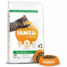IAMS Krmivo Cat Adult Lamb 10kg 
