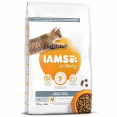 IAMS Krmivo Cat Adult/Senior Indoor Chicken 10kg